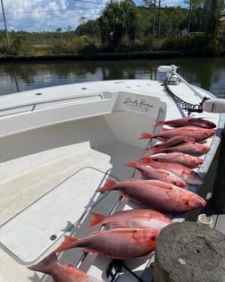 Red Snapper Fishing in Santa Rosa Beach, Florida