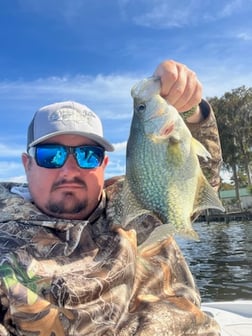 Crappie Fishing in Crystal River, Florida