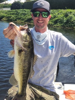 Peacock Bass Fishing in Wellington, Florida