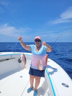 Blackfin Tuna Fishing in Key Largo, Florida