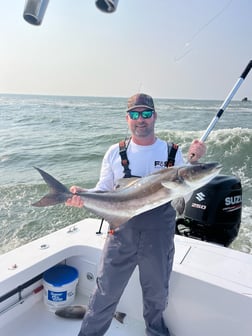 Cobia Fishing in Hatteras, North Carolina