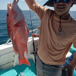 Black Seabass, Red Snapper, Triggerfish Fishing in St. Marys, Georgia