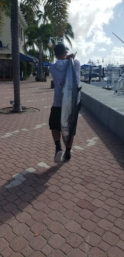 King Mackerel / Kingfish Fishing in West Palm Beach, Florida