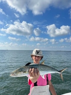 Snook Fishing in Tampa, Florida