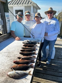 Lingcod Fishing in Niceville, Florida