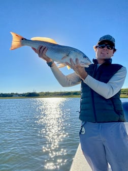 Redfish Fishing in Mount Pleasant, South Carolina