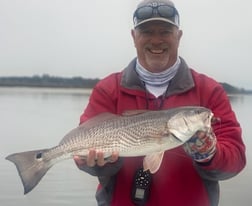 Black Drum Fishing in Jacksonville Beach, Florida