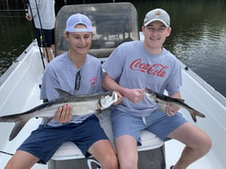 Snook Fishing in Jupiter, Florida