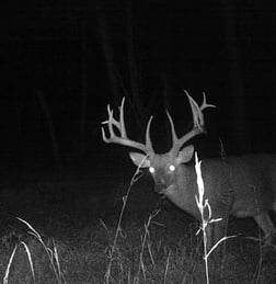 Hunting in Jacksonville Beach, Florida