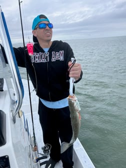 Redfish Fishing in South Padre Island, Texas