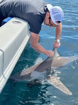 Fishing in Destin, Florida