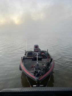 Largemouth Bass Fishing in Austin, Texas