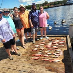 Jack Crevalle, Mangrove Snapper, Spanish Mackerel fishing in Pensacola, Florida