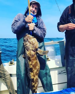 Lingcod Fishing in Bodega Bay, California