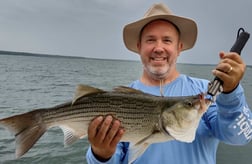 Hybrid Striped Bass, Striped Bass fishing in Runaway Bay, Texas