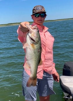 Largemouth Bass fishing in Zapata, Texas