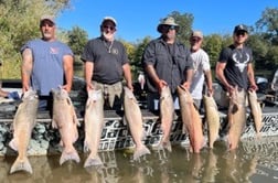 Chinook Salmon Fishing in Anderson, California