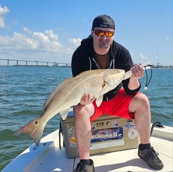 Redfish Fishing in Mount Pleasant, South Carolina