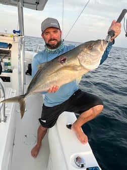 Amberjack, Spanish Mackerel, Triggerfish, Yellowtail Snapper Fishing in Tavernier, Florida