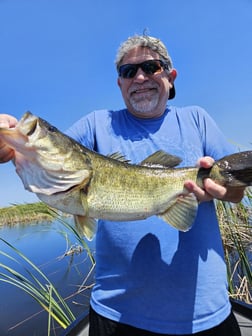 Fishing in Fort Lauderdale, Florida