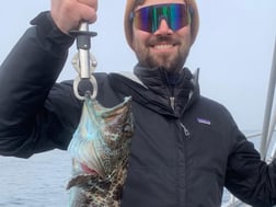 Lingcod Fishing in Oxnard, California