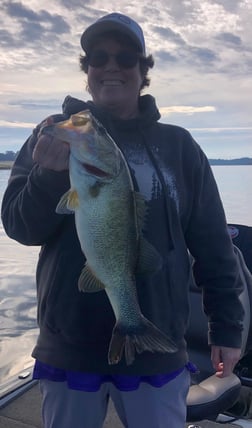 Largemouth Bass Fishing in Lake Fork, Texas