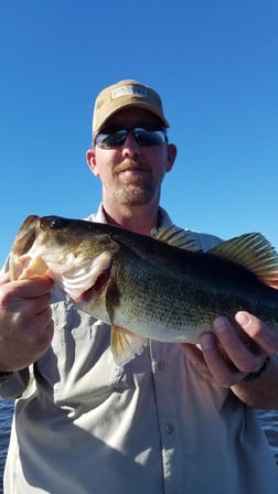 Largemouth Bass Fishing in Fort Lauderdale, Florida