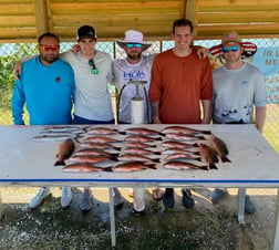 Mangrove Snapper fishing in Holmes Beach, Florida