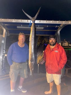 Little Tunny / False Albacore, Red Snapper, Triggerfish Fishing in Destin, Florida