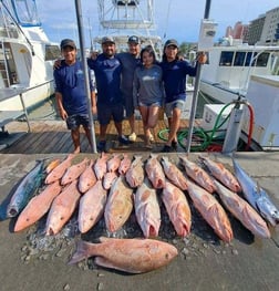 Red Grouper, Red Snapper Fishing in Clearwater, Florida