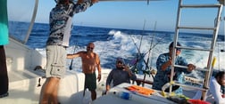 False Albacore, Kingfish, Red Snapper Fishing in Port Aransas, Texas