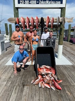 Fishing in Orange Beach, Alabama