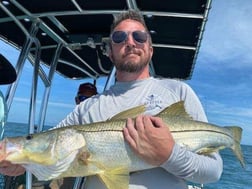 Snook fishing in St. Petersburg, Florida