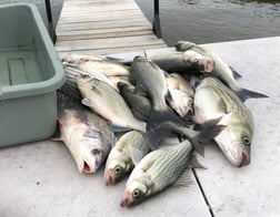 Fishing in Burnet, Texas