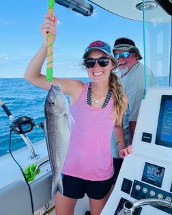 Amberjack fishing in Orange Beach, Alabama