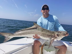 Cobia fishing in Virginia Beach, Virginia