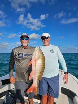 Mutton Snapper Fishing in Key Largo, Florida