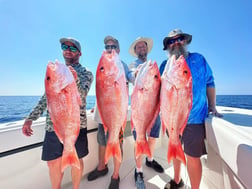 Red Snapper Fishing in Clearwater, Florida