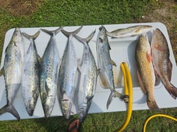 Fishing in Cedar Key, Florida