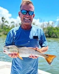 Redfish Fishing in Cape Coral, Florida