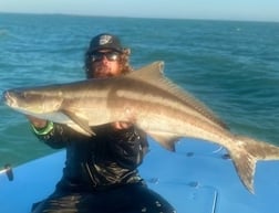 Amberjack, Mutton Snapper, Yellowtail Snapper Fishing in Key West, Florida