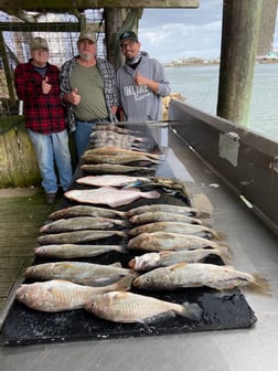 Speckled Trout / Spotted Seatrout Fishing in Surfside Beach, Texas