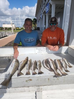 Speckled Trout / Spotted Seatrout fishing in Galveston, Texas