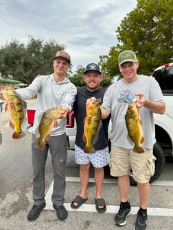 Fishing in Wellington, Florida