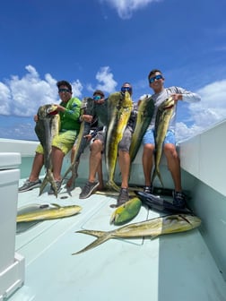 Swordfish fishing in Key Largo, Florida