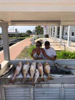 Redfish fishing in Galveston, Texas