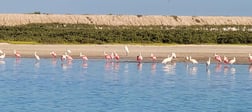 Speckled Trout Fishing in Port Isabel, Texas