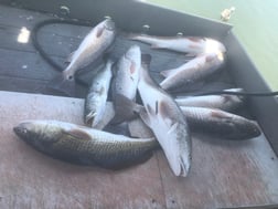 Redfish fishing in Rockport, Texas