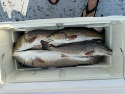 Fishing in Aransas Pass, Texas