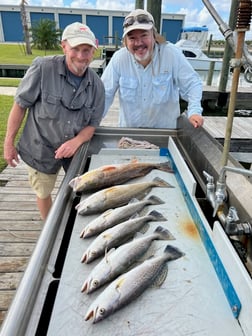 Flounder, Redfish, Speckled Trout / Spotted Seatrout Fishing in Galveston, Texas